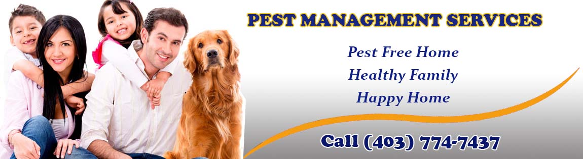 Welcome To Strike Force Pest Control in Red Deer, Alberta