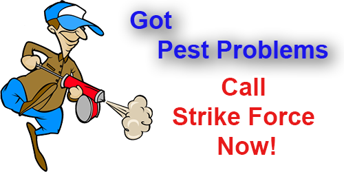 call-pest-exterminators