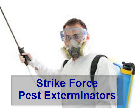 pest-exterminator-in-red-deer